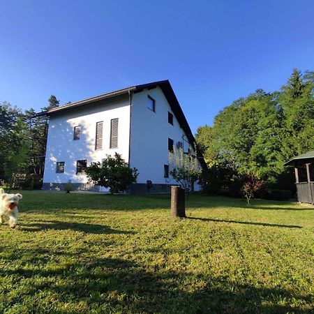 Studio Apartman Gorica Ogulin Luaran gambar